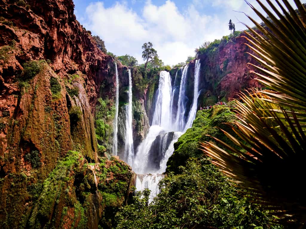 Marrakech – Ouzoud waterfalls – Marrakech